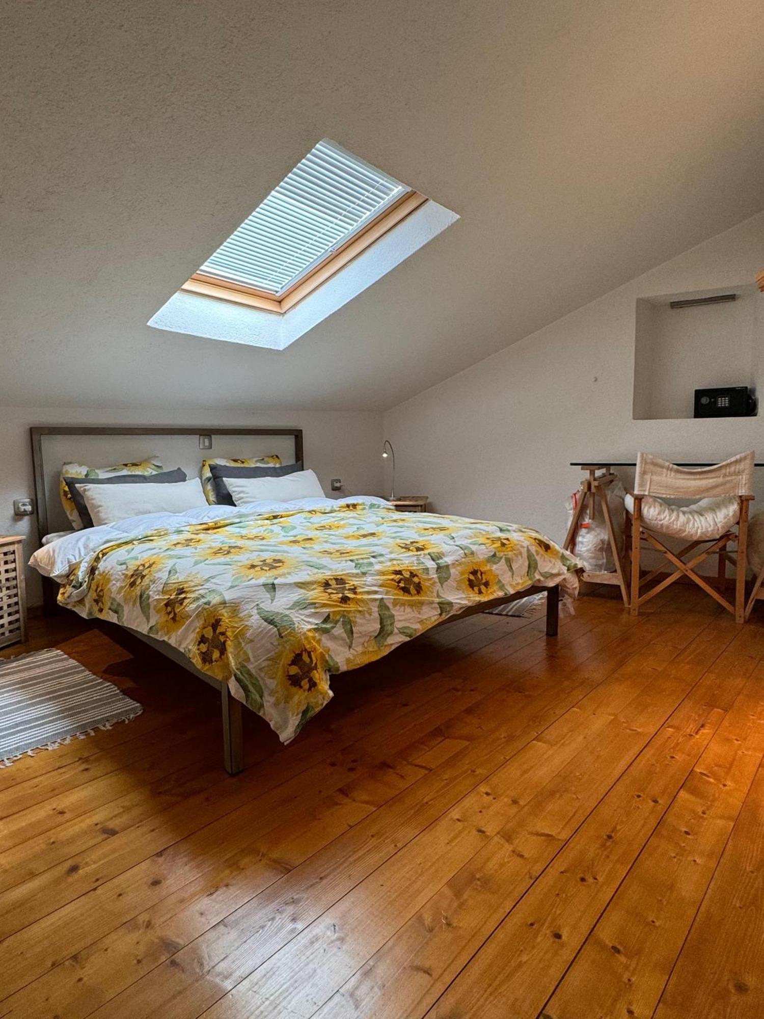 Kate's Townhouse * Buzet